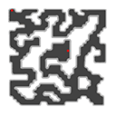 anthell02